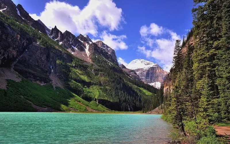 数字化创意科技